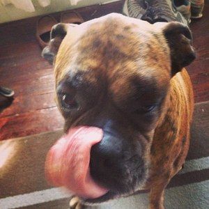 Meet your Posher, Kyle